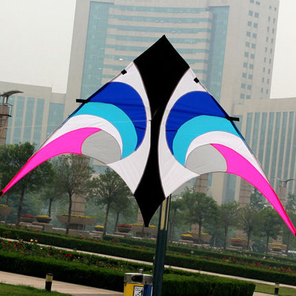 야외 재미있는 스포츠, 2.8 m 파워 델타 연, 비행 - Outdoor Power Line 리뷰 및 가격
