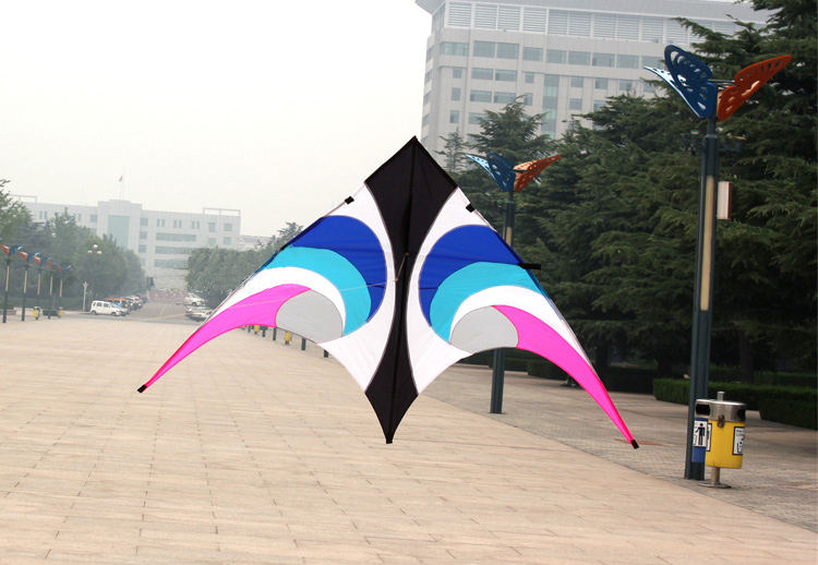 야외 재미있는 스포츠, 2.8 m 파워 델타 연, 비행 - Outdoor Power Line 리뷰 및 가격